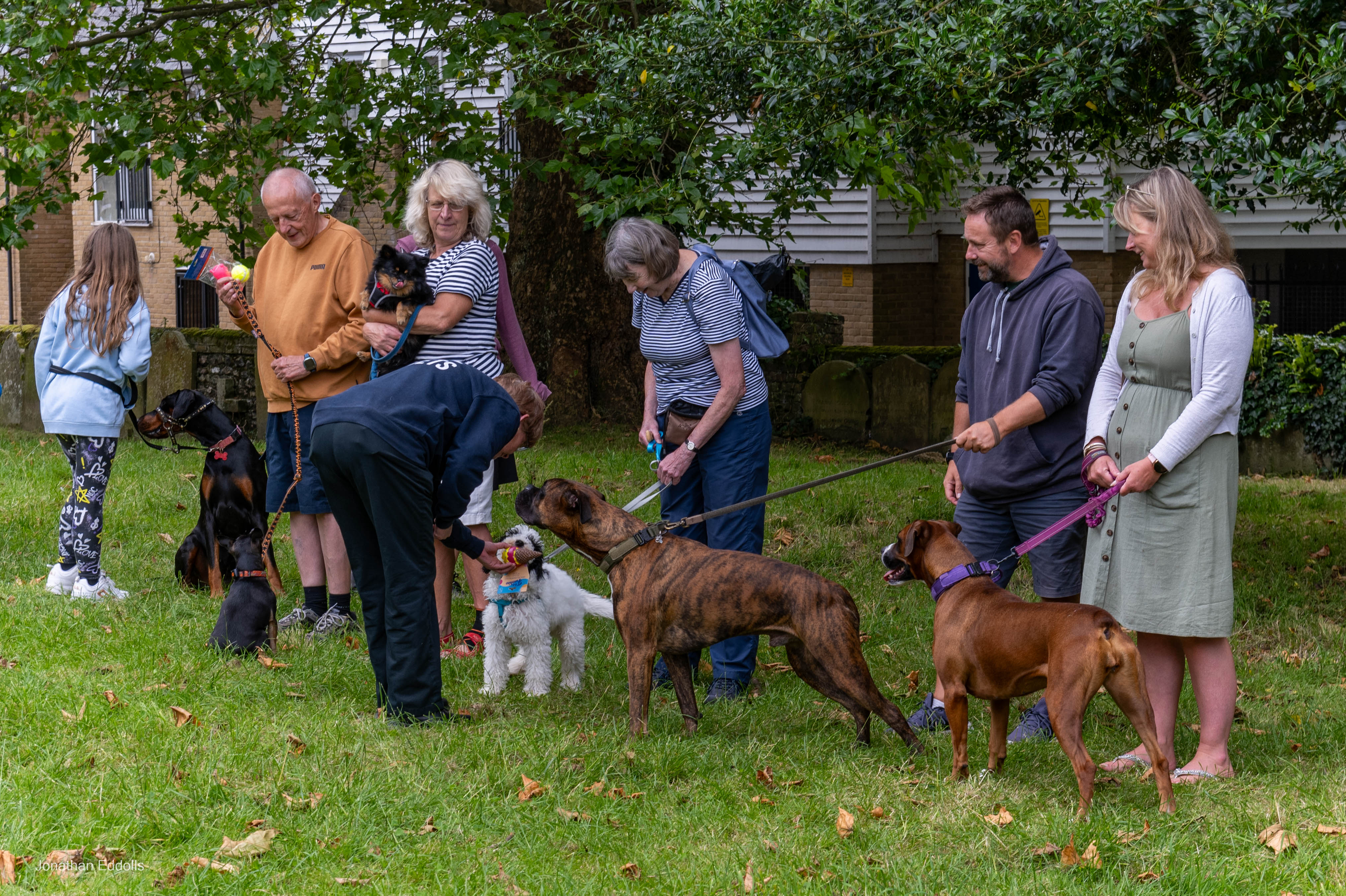 dog prize giving 2